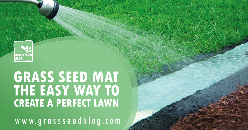 Grass Seed Mat - The Easy Way To Create A Perfect Lawn