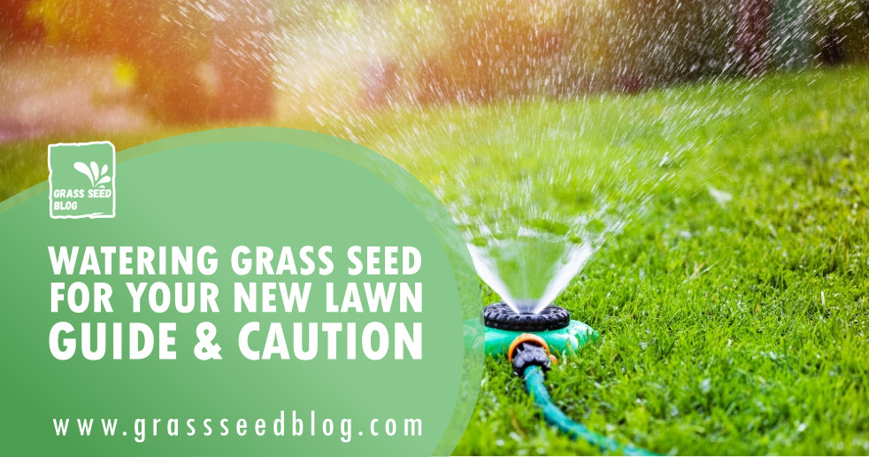 Watering Grass Seed For Your New Lawn – Guide & Caution